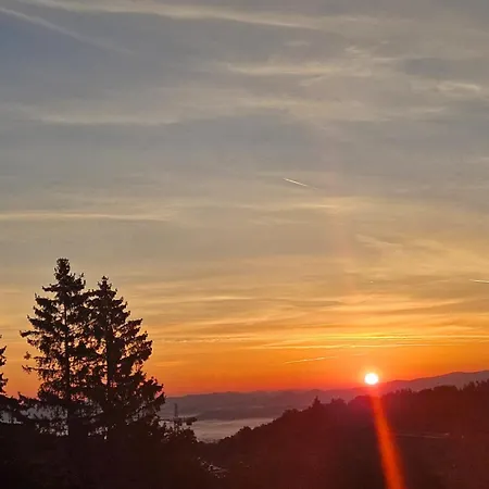 Park Resort: Panoramic Views With Pool, Sauna, And Fitness Access